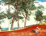 温斯洛 荷默 : House and Trees